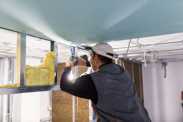 Best Eco-Friendly Insulation in Safford, AZ