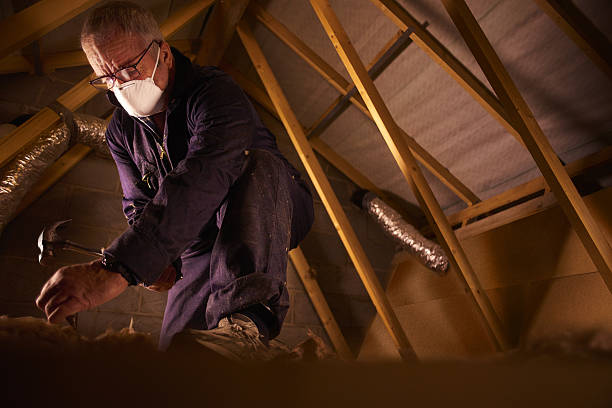 Best Insulation Maintenance and Repair in Safford, AZ