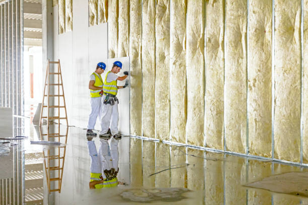 Best Specialized Insulation Services in Safford, AZ